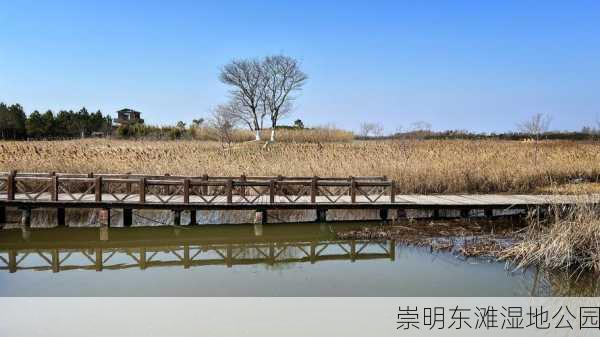 崇明东滩湿地公园