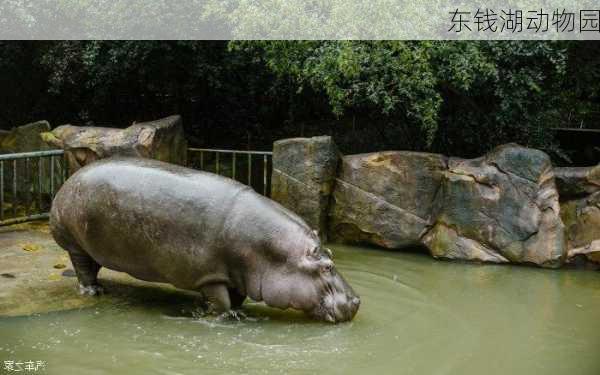 东钱湖动物园